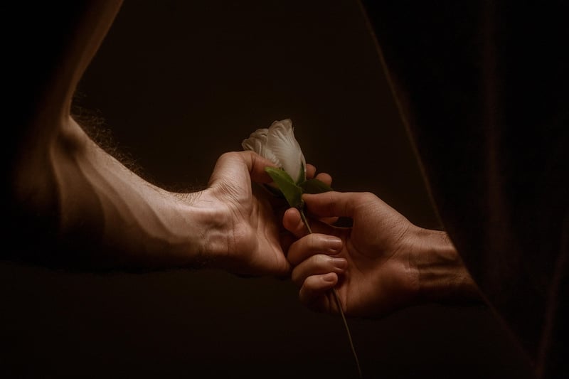 Enchanted Rose